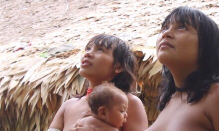 Filmes premiados sobre a resistência e a cultura das populações indígenas brasileiras chegam ao Itaú Cultural Play