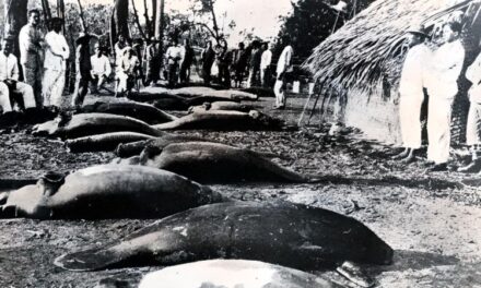 Cinemateca Brasileira disponibiliza online e gratuitamente ‘Amazonas, o Maior Rio do Mundo’