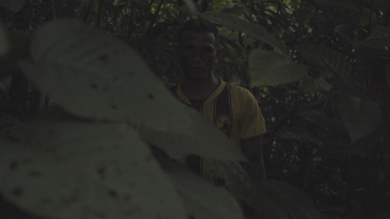 ‘Eu Vi uma Visagem’ traz histórias sobrenaturais dos fantasmas da Amazônia