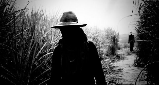 CRÍTICA | ‘O Rancho da Goiabada ou Pois é, meu camarada, Fácil, Fácil a Vida’: uma ode ao proletariado