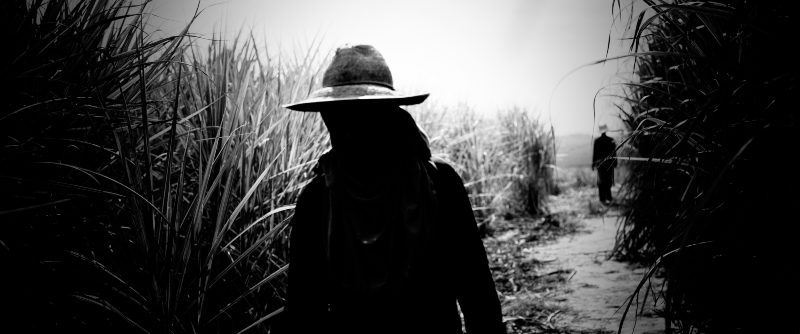 CRÍTICA | ‘O Rancho da Goiabada ou Pois é, meu camarada, Fácil, Fácil a Vida’: uma ode ao proletariado