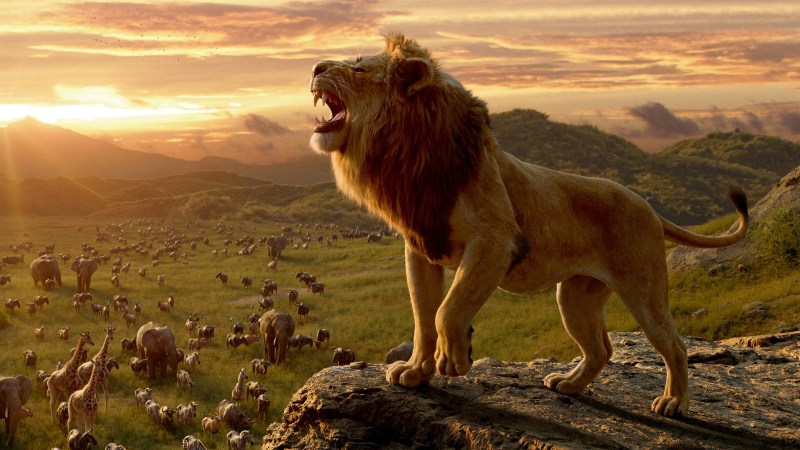 ‘Mufasa – O Rei Leão’: realismo tira mágica do drama