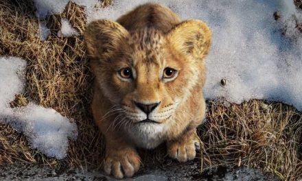 ‘Mufasa’ domina cinemas de Manaus em fim de semana do Natal