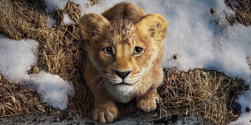‘Mufasa’ domina cinemas de Manaus em fim de semana do Natal