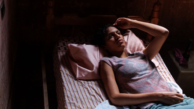 ‘Suçuarana’: outsider que transforma o caminhar em resistência