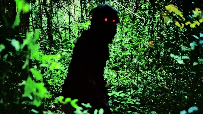 ‘Tio Boonmee, que Pode Recordar Suas Vidas Passadas’: um filme que se recusa a ser decifrado