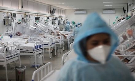 ‘Anatomia do Caos’: a memória também se monta