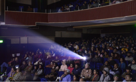 O que os cinéfilos brasileiros mais exigentes devem saber sobre assistir a filmes de festivais online
