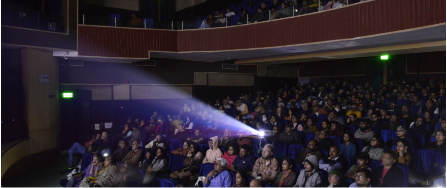 O que os cinéfilos brasileiros mais exigentes devem saber sobre assistir a filmes de festivais online