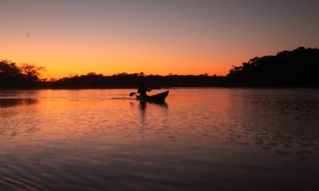 ‘Xingu, Nosso Rio Sagrado’: estética confronta tragédia ambiental