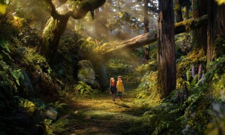 ‘O Bosque Selvagem’: carta de amor ao stop-motion em animação corajosa