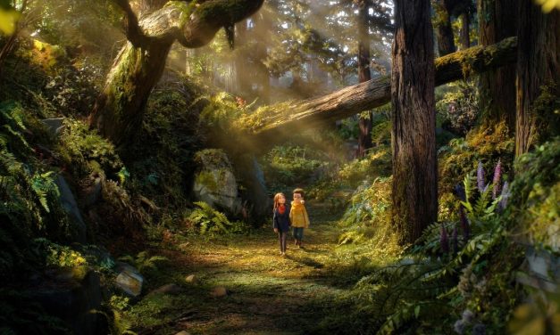 ‘O Bosque Selvagem’: carta de amor ao stop-motion em animação corajosa